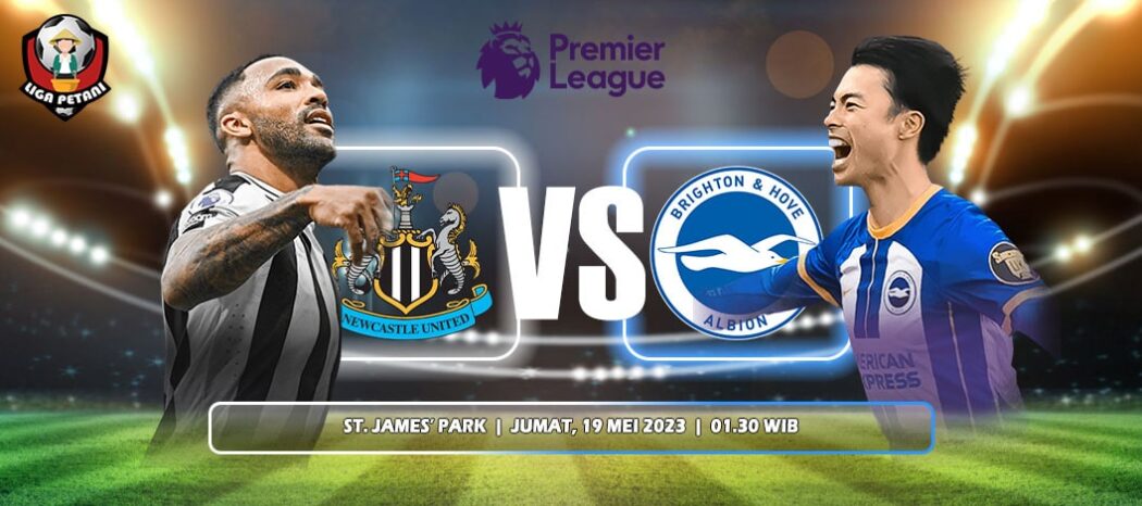 Prediksi Newcastle United Vs Brighton & Hove Albion